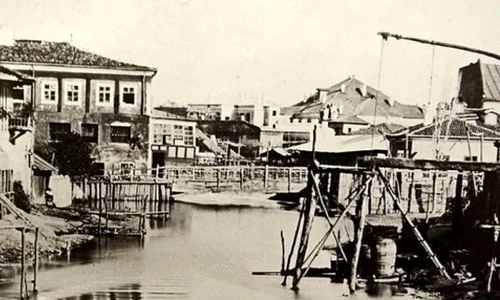 Avantajele României în secolul XIX jpeg