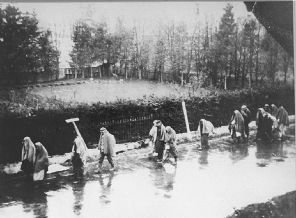 Death march from Dachau jpg jpeg