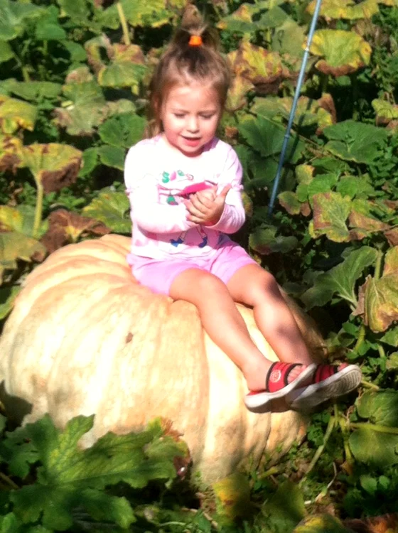 FIica lui Ancu Dincă