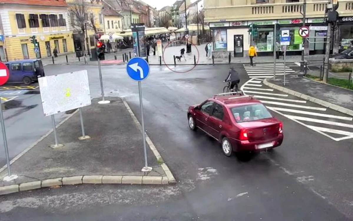 Câinele și stăpânul său, înainte de incident Foto: adevarul.ro