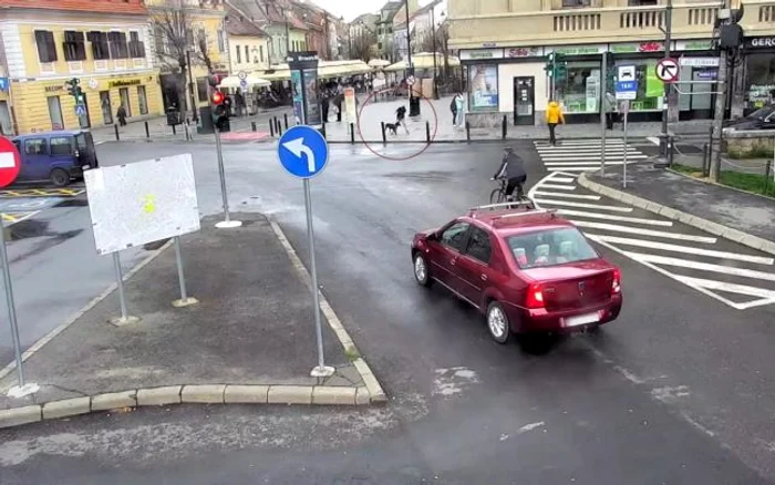 Câinele și stăpânul său, înainte de incident Foto: adevarul.ro