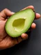 avocado jpeg