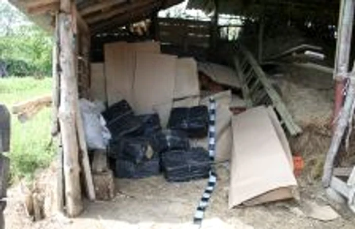 Țigările au fost descoperite ascunse în șură