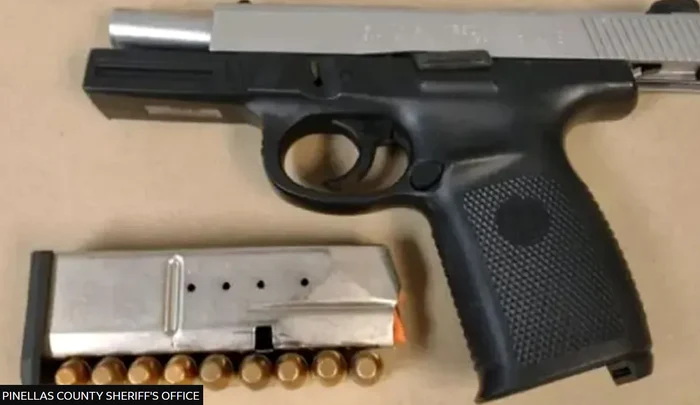 Arma crimei din Florida
