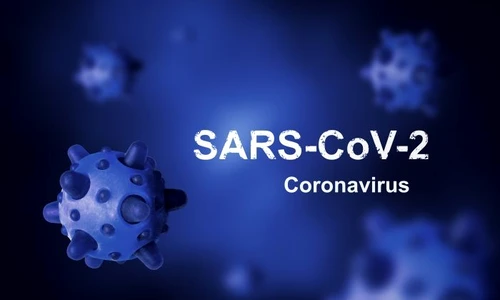 1 shutterstock 1676621872 jpg jpeg