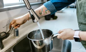 apa gatit pexels jpeg