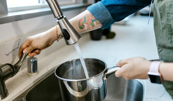 apa gatit pexels jpeg