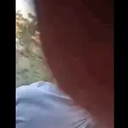 tren gif gif