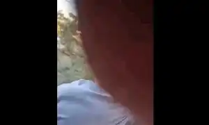 tren gif gif