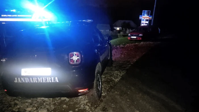 Autoritățile din Vâlcea alertate după un atac al urșilor în Titești - Țara Loviștei Foto IJJ Vâlcea