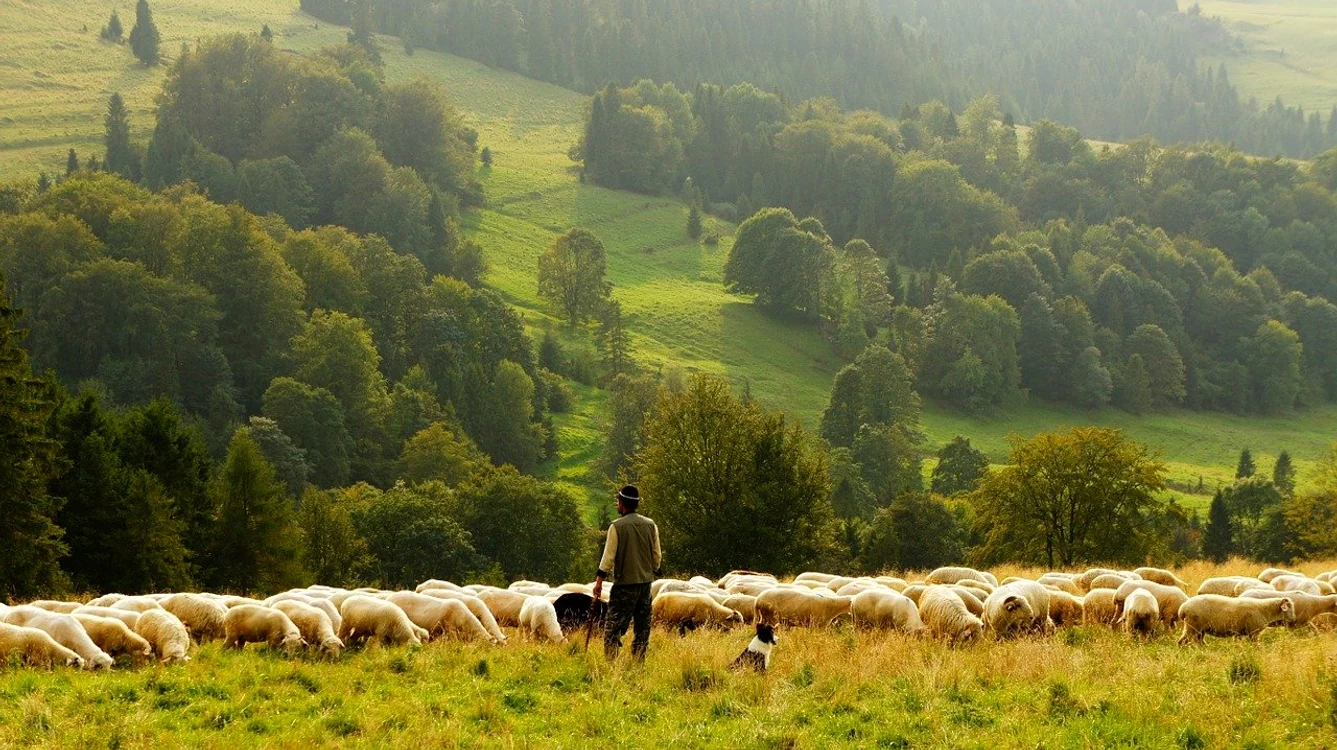 FOTO: Arhivă