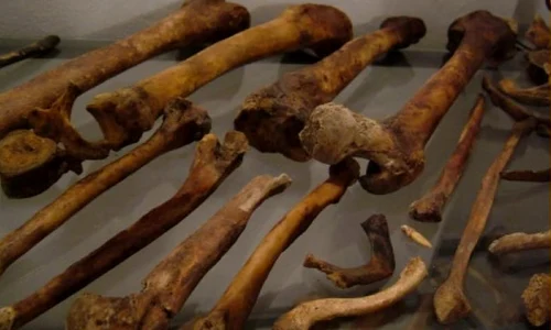 E posibil să se fi descoperit osemintele Sf  Ioan Botezătorul jpeg