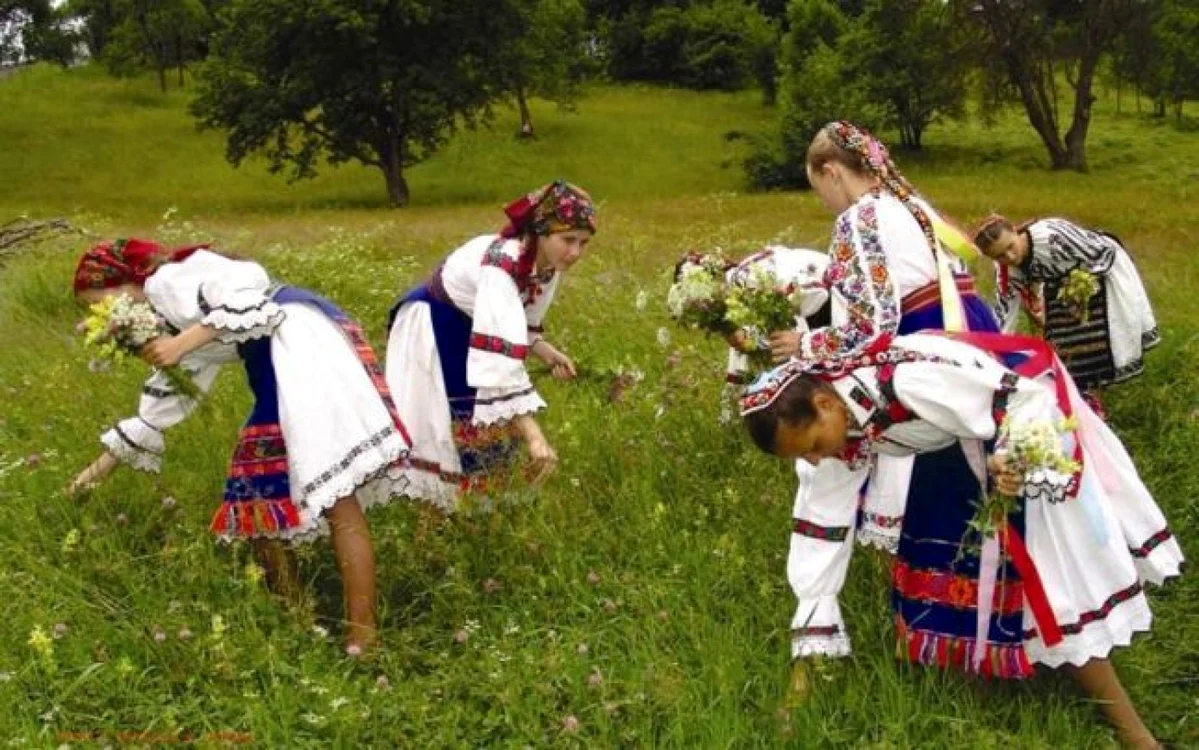 Tradiţia populară spune că sânzienele aduc noroc în dragoste.