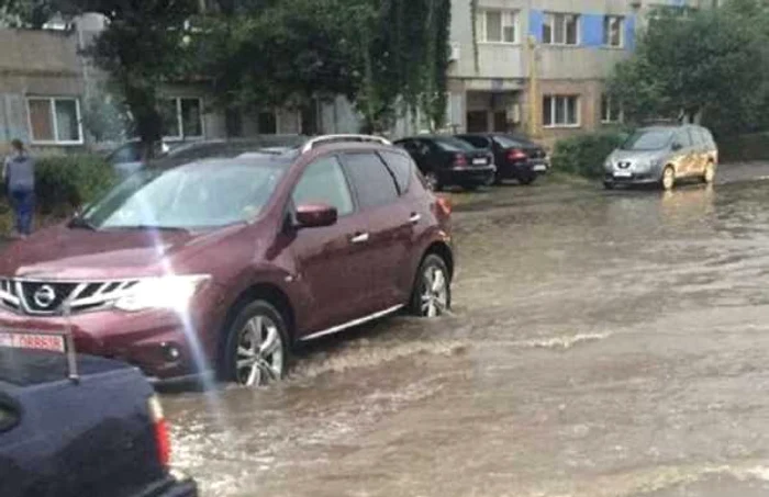 În urma furtunii de marţi după amiază, mai mulţi copaci sau crengi au căzut pe carosabil, alei sau spaţii verzi. FOTO News.ro