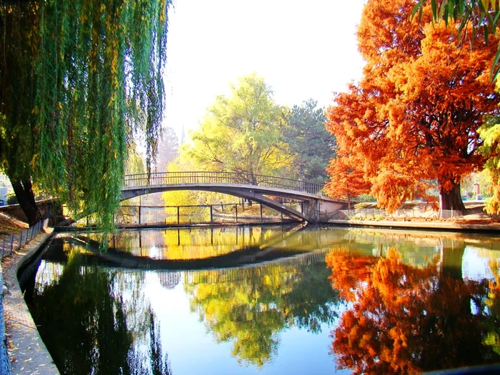 Parcul Herăstrău este considerat a fi cel mai frumos din țară