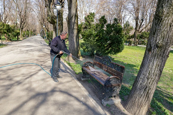 Băncile sunt spălate şi reparate