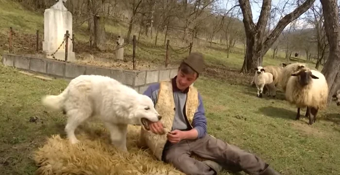 Ionuț Lazăr, un cioban din satul Deleni.