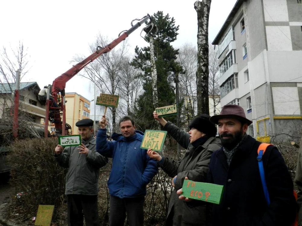 Protestatarii au afişat şi mesaje împotriva tăierii copacilor.                 Foto: Facebook