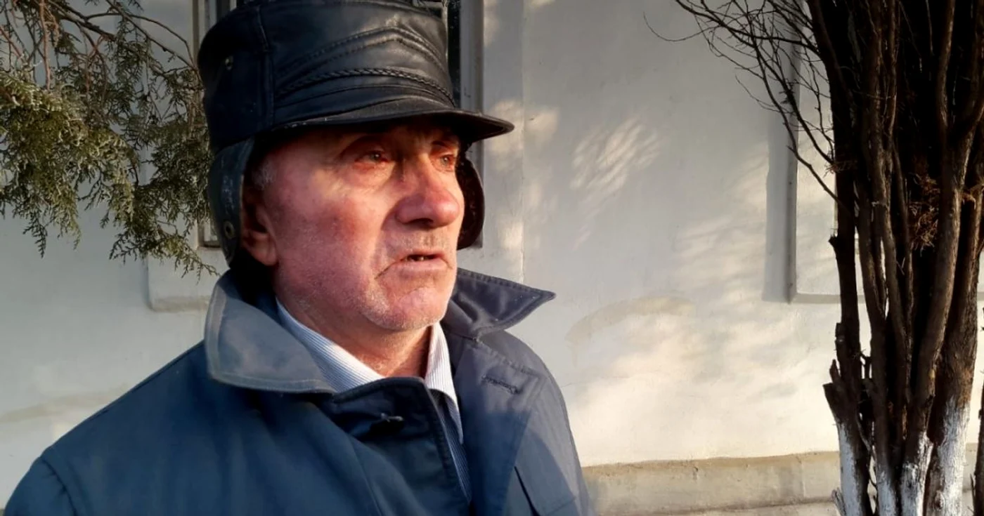 patimile colectivizării forţate - ion vlăducu