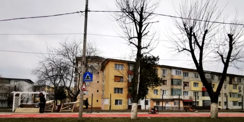 drumul corvinilor fotodaniel guta adevarul