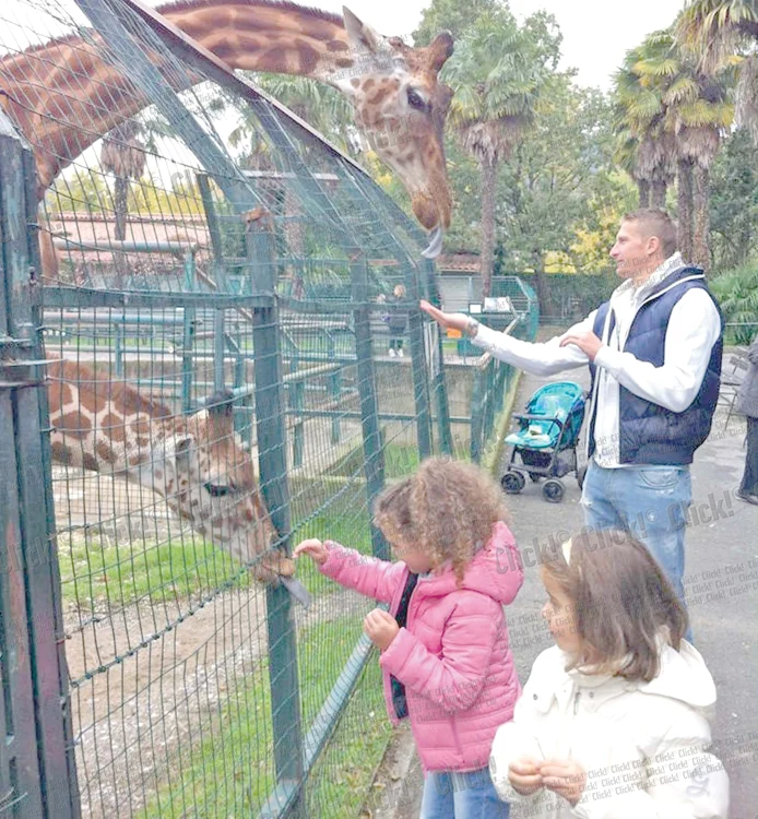 
    Copiii au putut  hrăni girafele la  grădina zoologică  