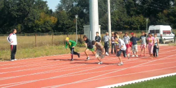 Micul campion