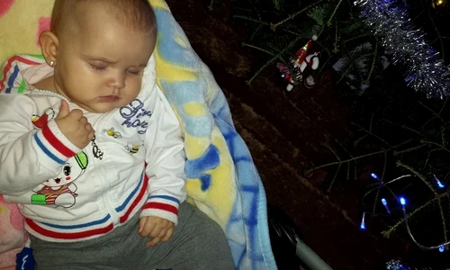 1521264 602227799826446 1413406430 n jpeg