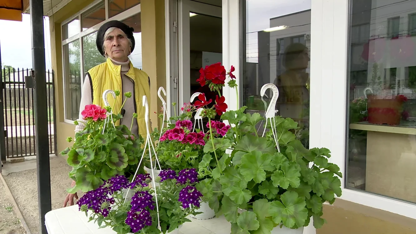 buzauflorismeeni
