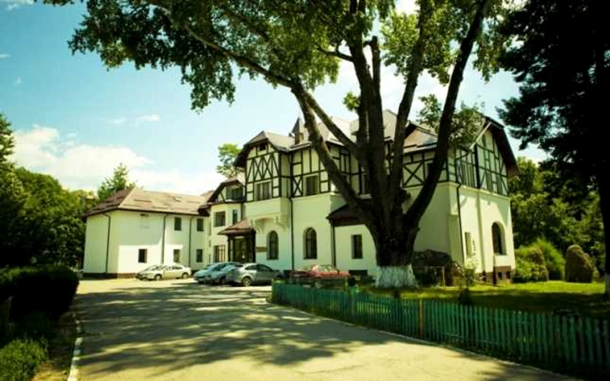 Castelul Voila a devenit în 1971 spital de psihiatrie FOTO spitalulvoila.ro