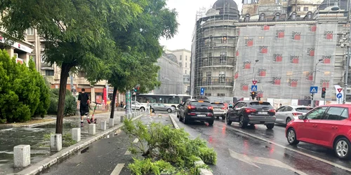 furtuna Bucuresti 4 jpg