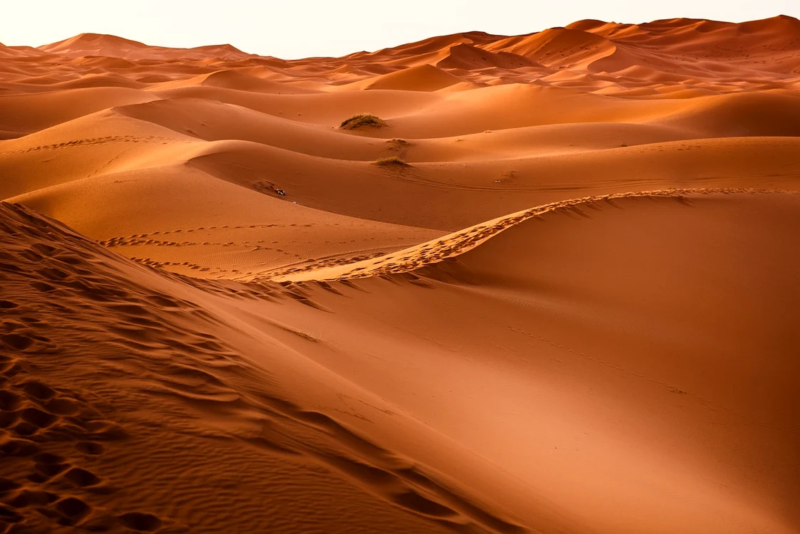 Cazul dramatic al unui pilot pierdut in Sahara