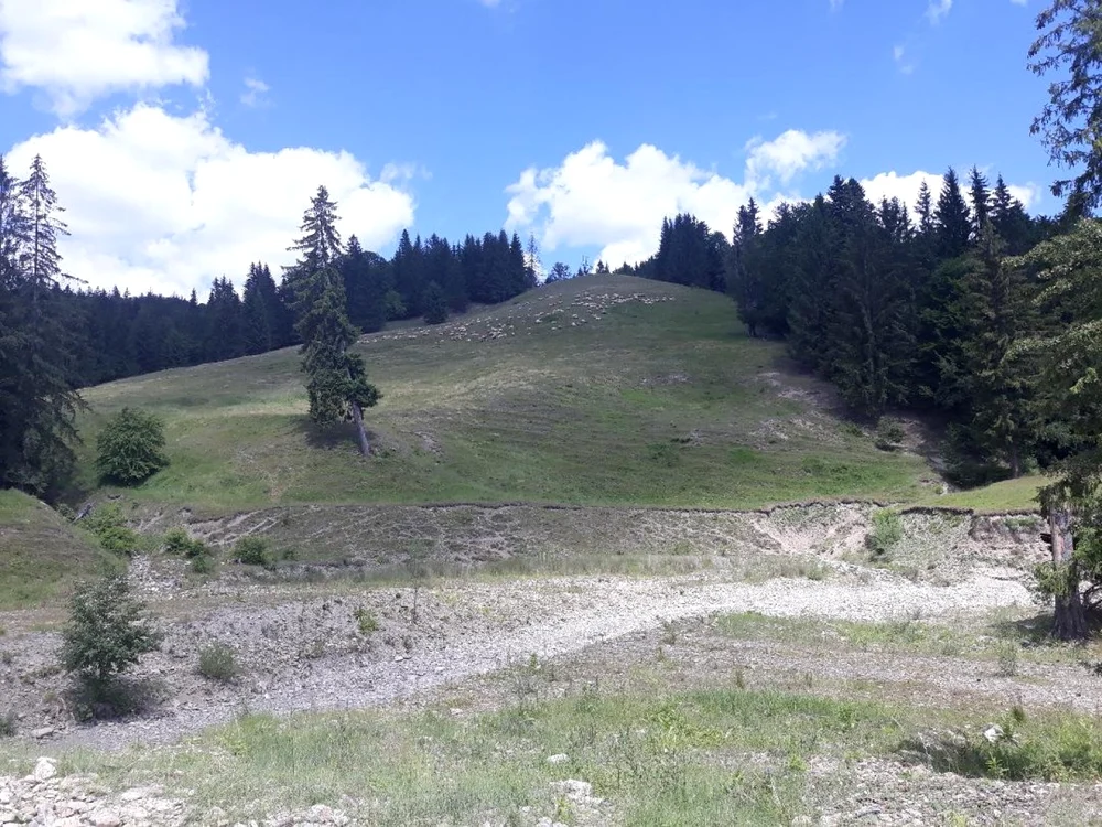 Pâraiele montane, dacă mai au un firicel de apă FOTO Dan SOFRONIA