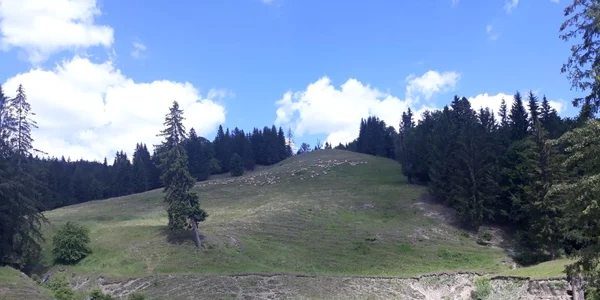 secetantoi