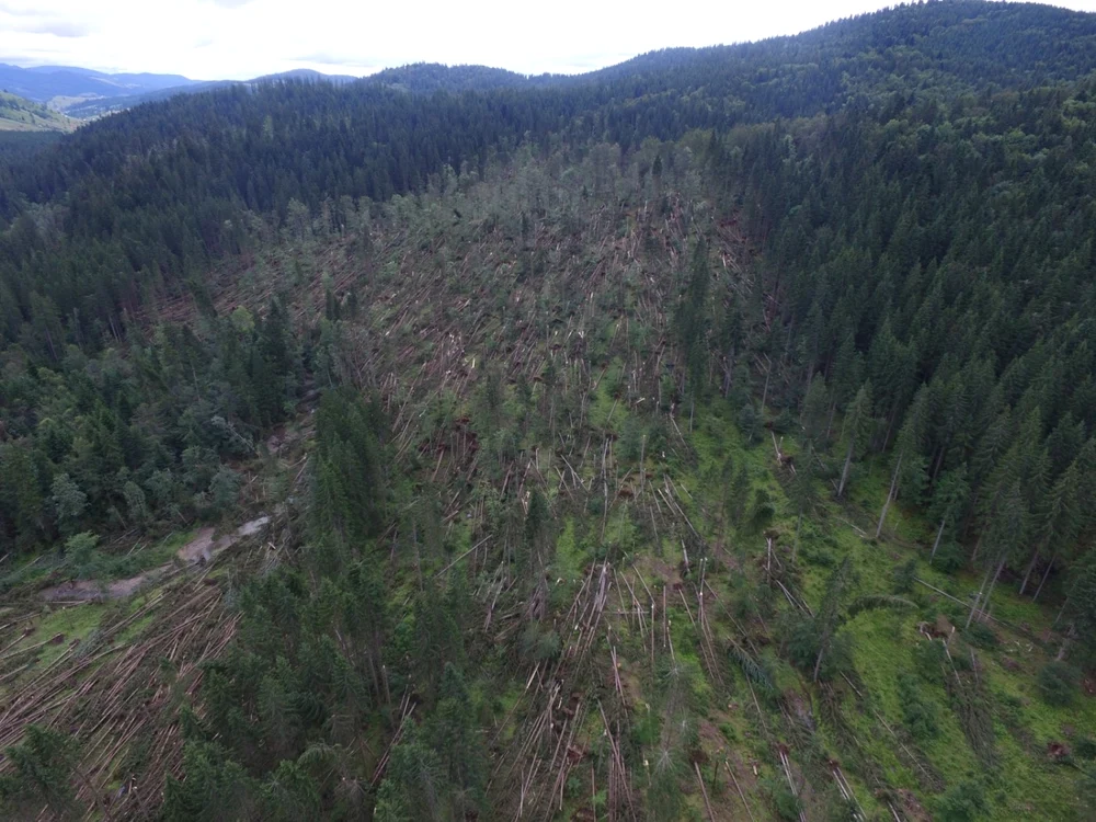 2.235 de hectare de pădure au fost afectate de o furtună puternică. FOTO Garda Forestieră Suceava