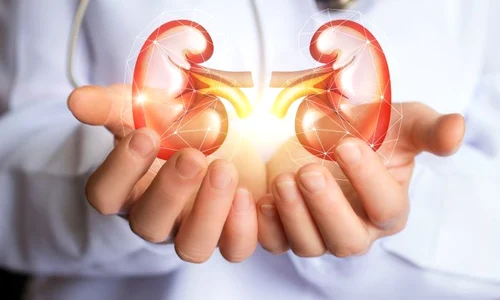 1 pietre rinichi jpg jpeg