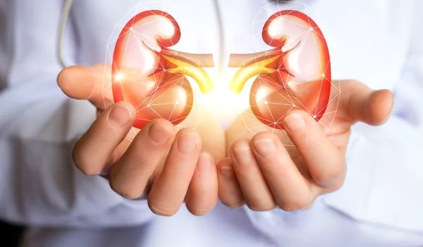 1 pietre rinichi jpg jpeg