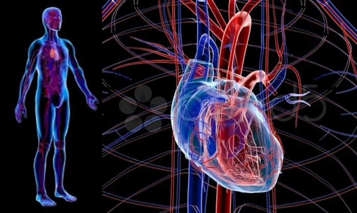 Structuri complexe tridimensionale din materiale şi de rezistenţe diferite