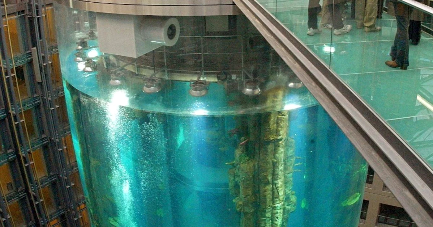 acvariu aquadom