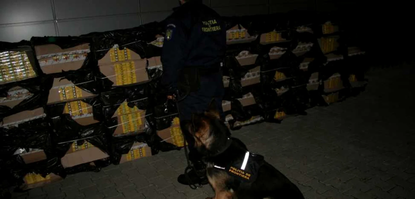 Potrivit poliţiştilor, prejudiciul adus statului de către contrabandişti ajunge la 305.000 de lei