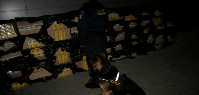 Potrivit poliţiştilor, prejudiciul adus statului de către contrabandişti ajunge la 305.000 de lei