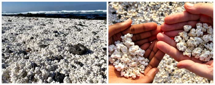 „Plaja Popcorn” / FOTO: Colaj social media