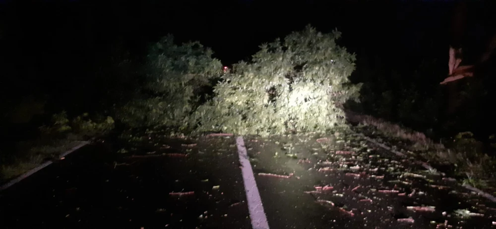 Pompierii intervin în București din cauza vremii extreme: copaci doborâţi şi cabluri rupte