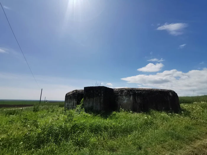 O cazetamtă de mărime apreciabilă FOTO Ștefan Both