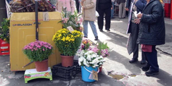 Reşiţa: Bunicuţele din Reşiţa cumpără crizanteme (GALERIE FOTO)