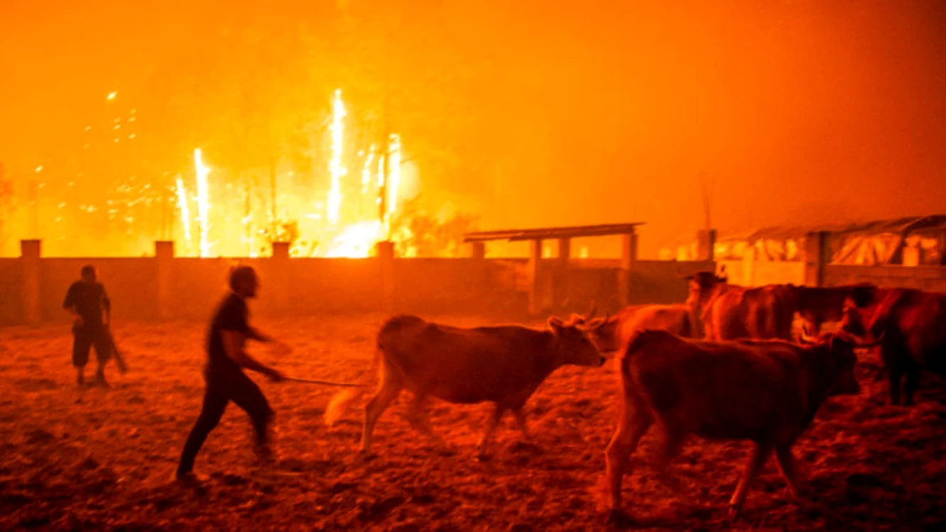 Incendii ucigaşe în Portugalia