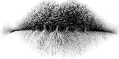 Test de personalitate. Ce vezi în imagine te defineşte. Spune-mi ce ai ales să îţi spun cine eşti