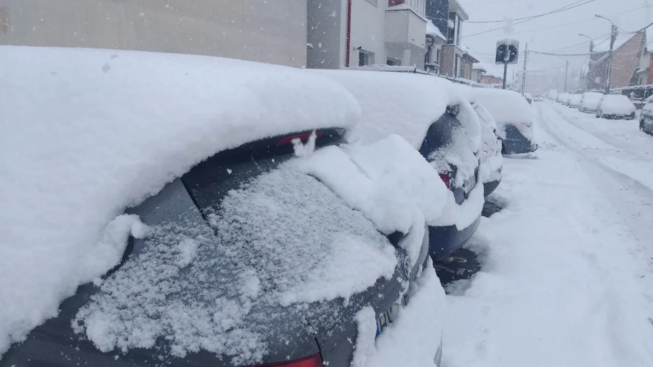 Ninsori abundente FOTO Arhivă Adevărul