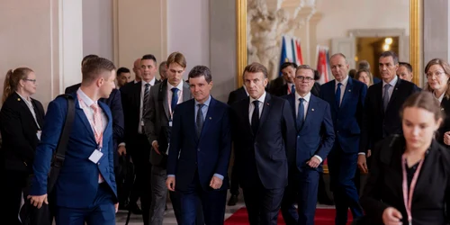 Nicusor Dan, Macron X jpg