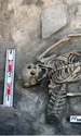 Arheologii au descoperit o înmormântare rară din secolul al X-lea, în sudul Rusiei (© Serviciul de Presă al Institutului de Istoria Culturii Materiale al Academiei Ruse de Științe)
