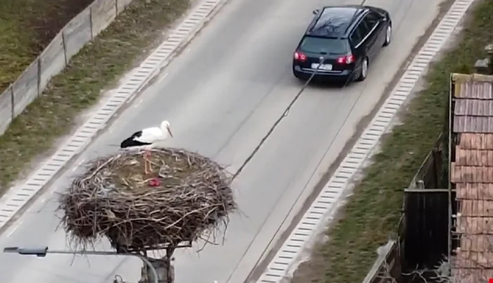 Berzele au început să se întoarcă FOTO Captură video